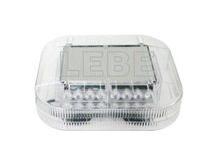 LB823